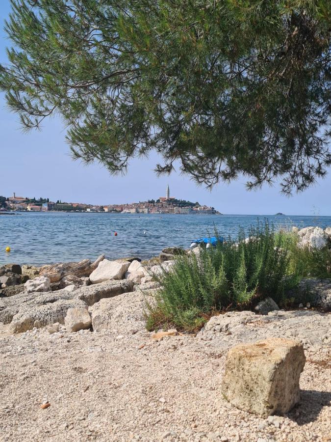 Hemy Casa - Lux Mobile Homes Rovinj Extérieur photo